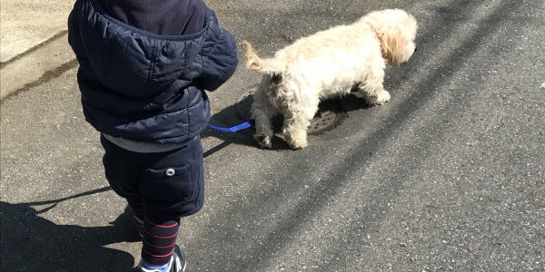 看板犬アンディ 散歩中 高精度プラスチック金型 及川産業 埼玉 草加 八潮 東京 足立